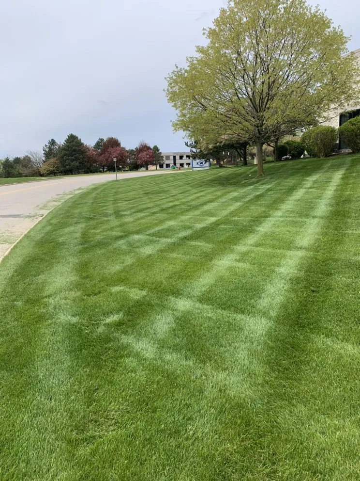 Reliable outdoor landscaping experts serving Plymouth, MI - All Seasons Outdoor Maintenance