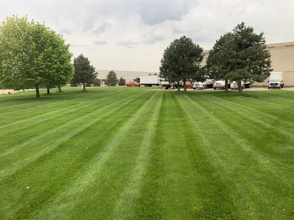 Local landscape design for homes in Plymouth, MI by All Seasons Outdoor Maintenance