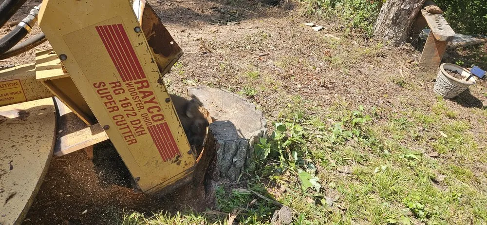 Custom landscaping services experts serving Douglasville, GA - All Seasons Outdoor Services