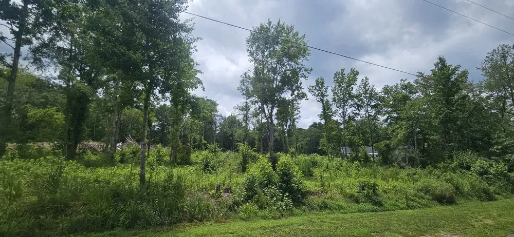 Local yard maintenance in Douglasville, GA - All Seasons Outdoor Services