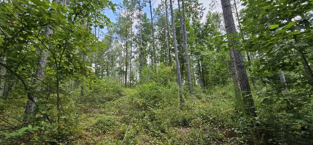 Trusted outdoor landscaping for outdoor upgrades across Douglasville, GA - All Seasons Outdoor Services