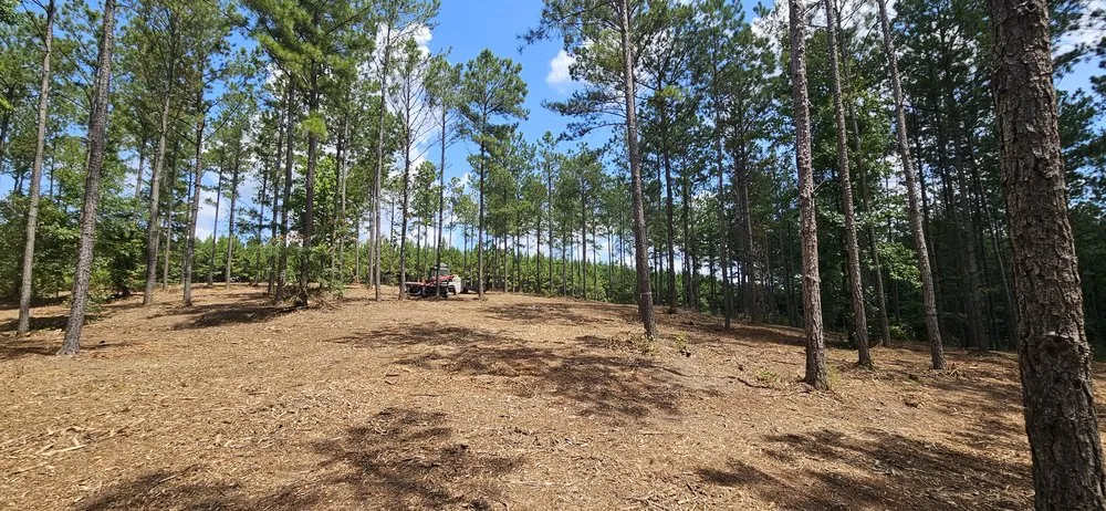 Local lawn mowing service in Douglasville, GA by All Seasons Outdoor Services