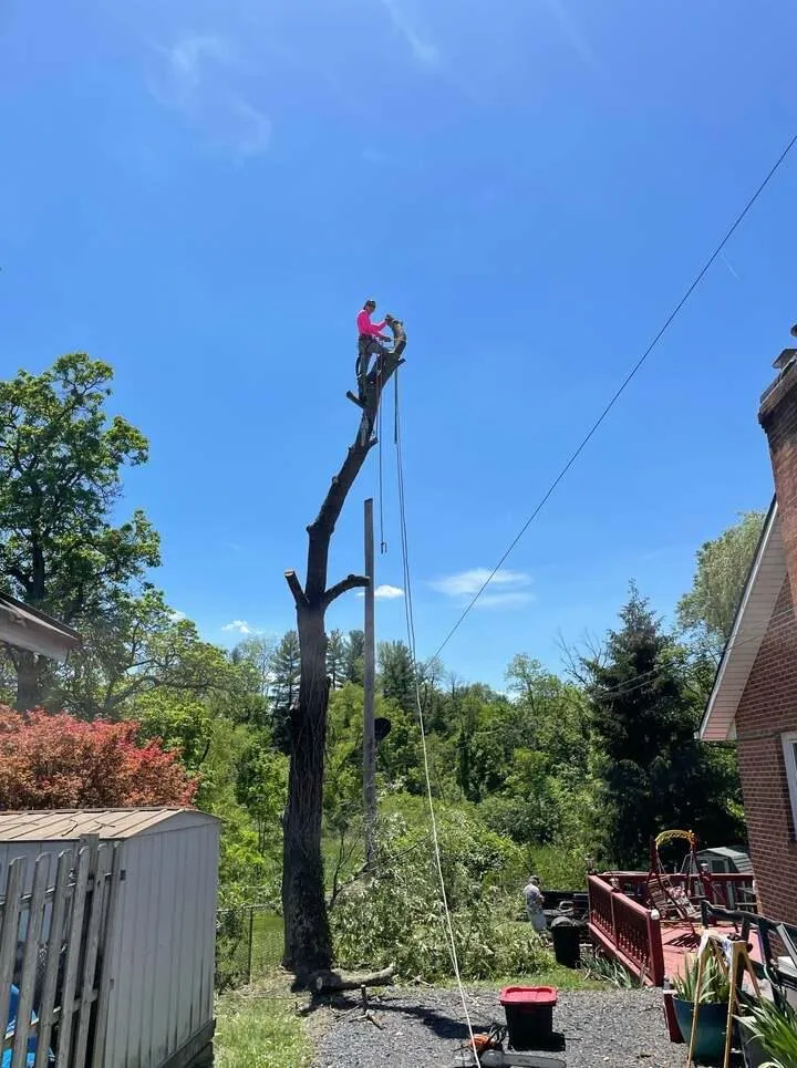 Local landscaping services for residential properties across York Haven, PA - All Seasons Outdoor Services