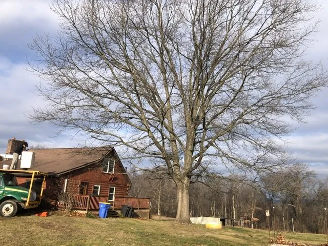Local landscape installation with custom design across York Haven, PA - All Seasons Outdoor Services