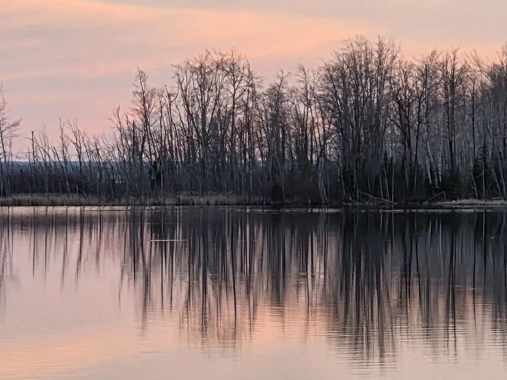 Local yard maintenance for residential properties across Alpena, MI - All Seasons Property Care