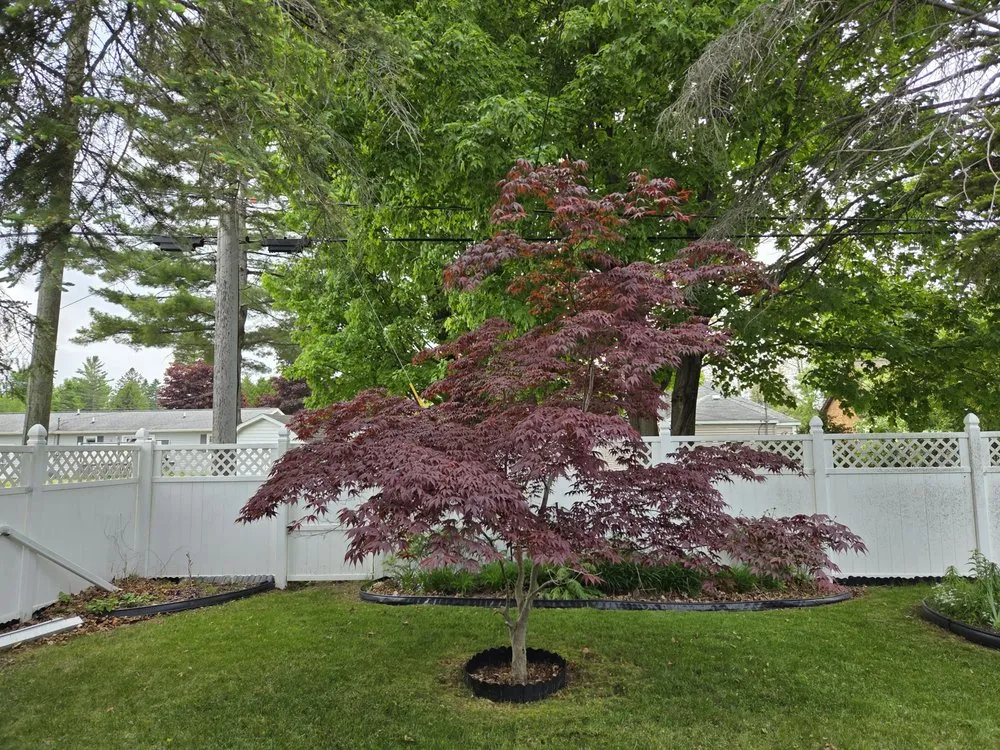 Professional yard maintenance experts serving Alpena, MI - All Seasons Property Care