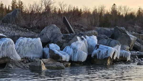 All Seasons Property Care Logo