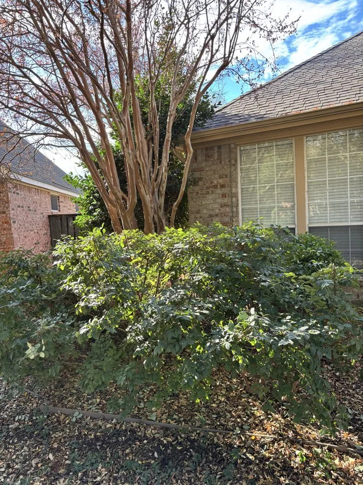 Affordable residential landscaping for homes in North Richland Hills, TX by All Seasons Property Care