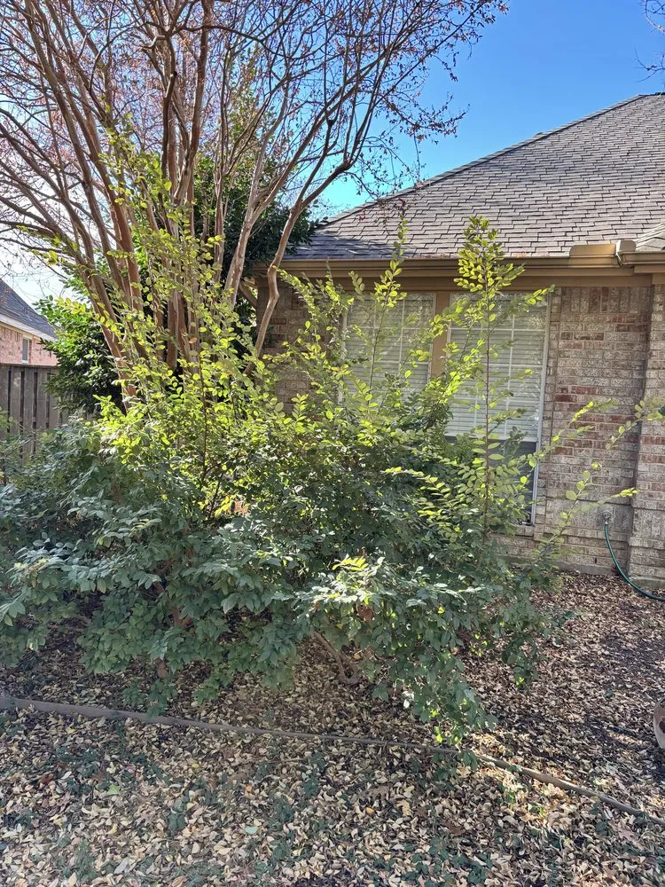 Top-rated yard maintenance in North Richland Hills, TX by All Seasons Property Care