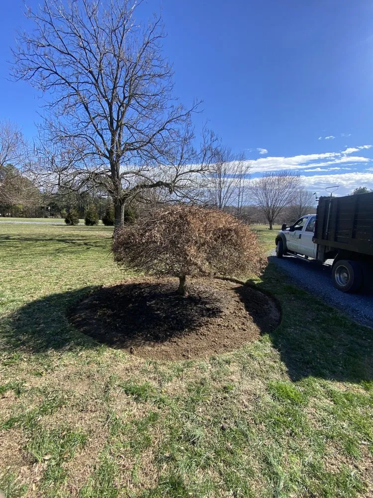Affordable landscape installation for beautiful yards across Hurlock, MD - All Seasons Property Maintenance