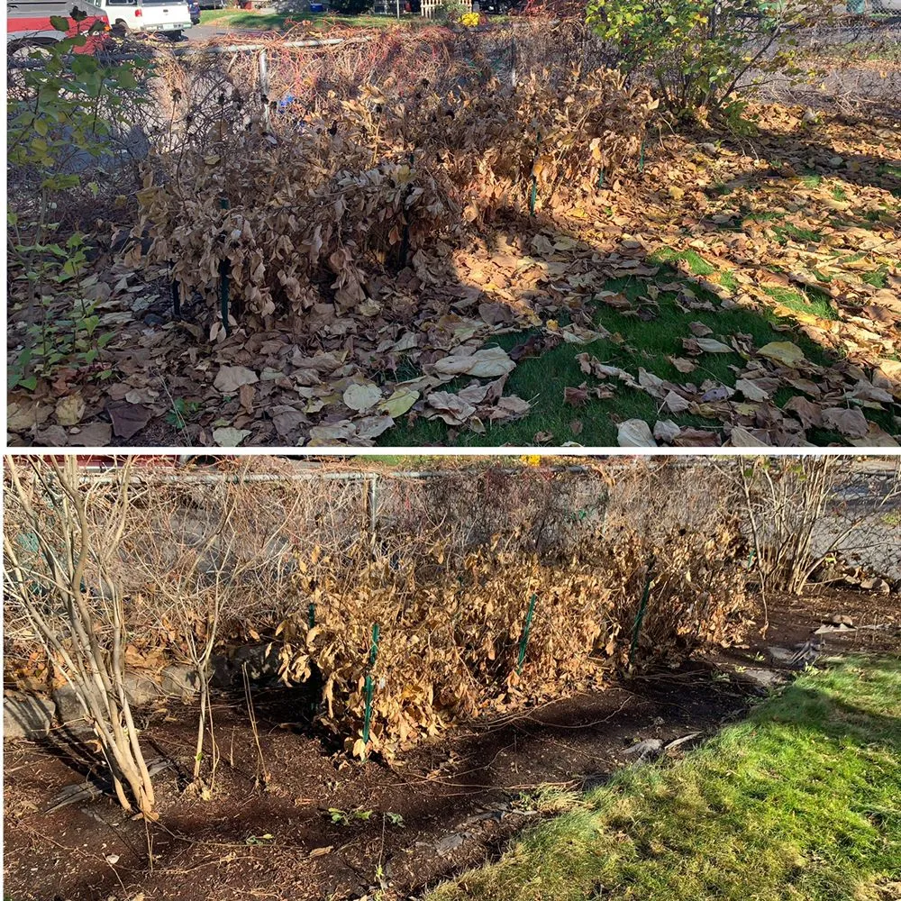 Top-rated landscaping services in Milton-Freewater, OR by All Seasons Property Maintenance