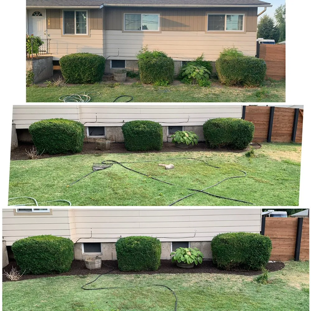 Professional lawn mowing service in Milton-Freewater, OR - All Seasons Property Maintenance