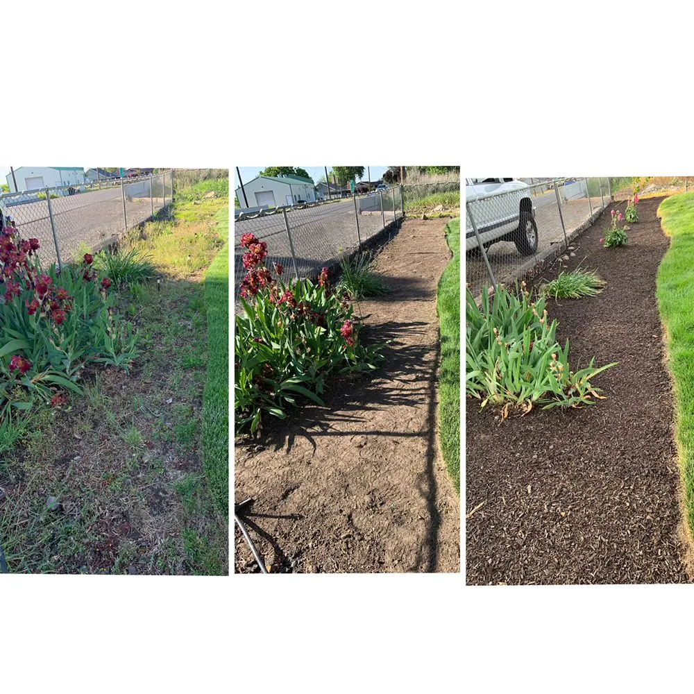 Top-rated lawn care service experts serving Milton-Freewater, OR - All Seasons Property Maintenance