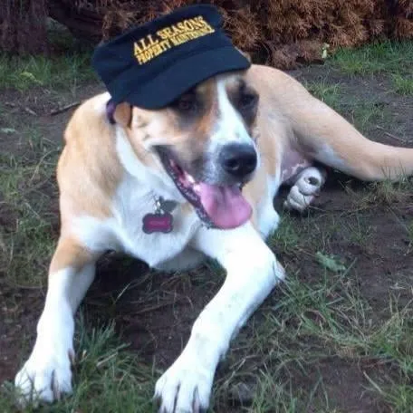 Affordable yard cleanup service in West Warwick, RI by All Seasons Property Maintenance