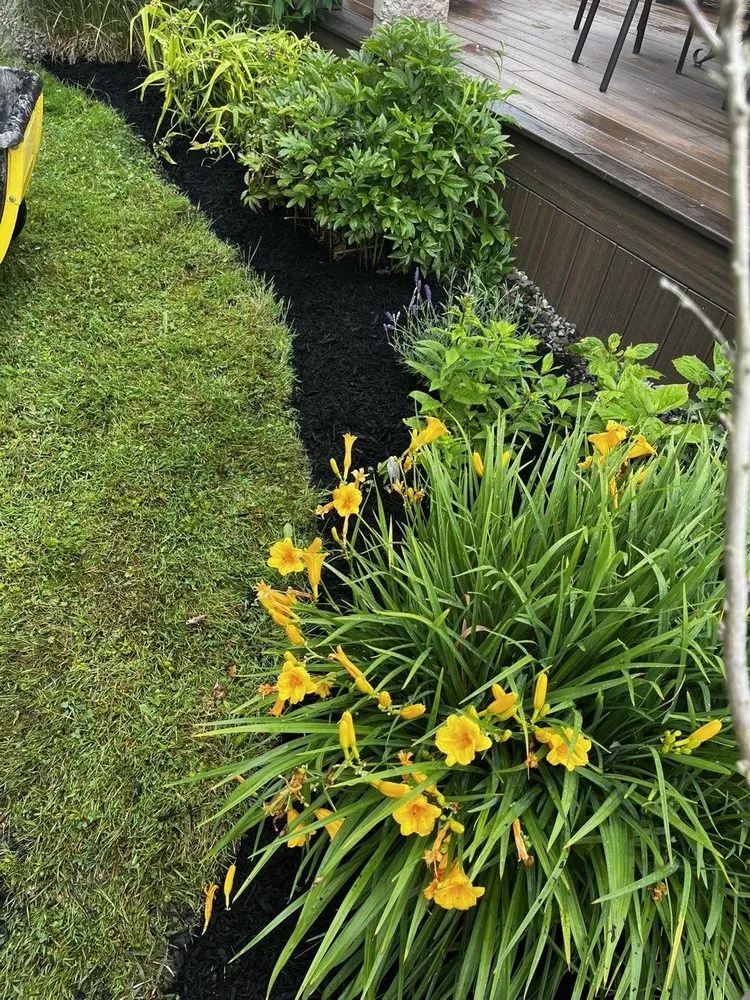 Expert residential landscaping experts serving Hastings, NY - All Seasons Property Service