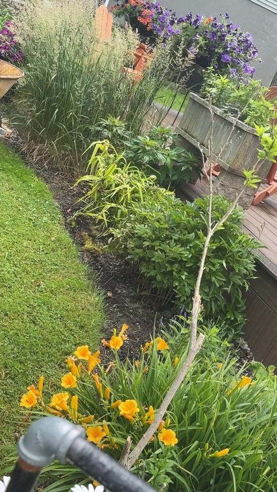 Custom landscape installation in Hastings, NY - All Seasons Property Service