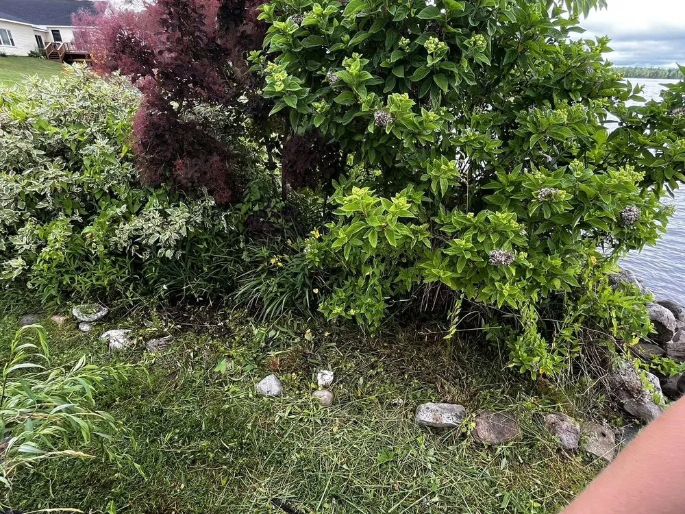 Local lawn care service in Hastings, NY - All Seasons Property Service