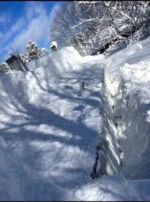 All Seasons Property Service