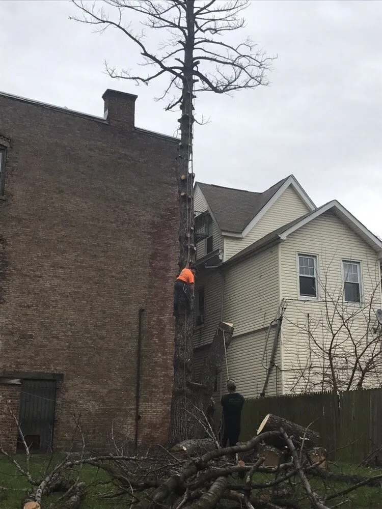 Custom lawn mowing service in BLOOMFIELD, NJ - All Seasons Property Services