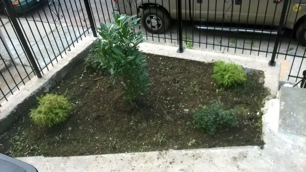 Trusted lawn care service in BLOOMFIELD, NJ by All Seasons Property Services