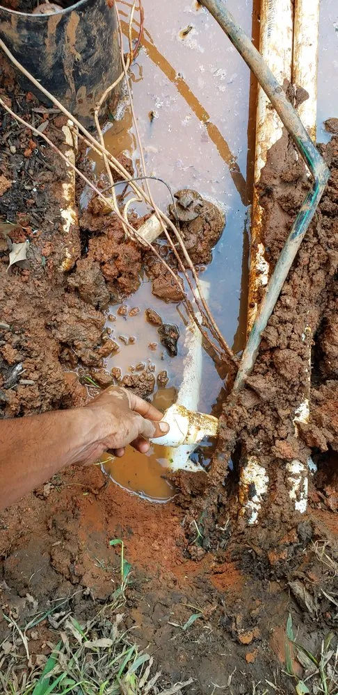 Local lawn care service for year-round maintenance across King of Prussia, PA - All Seasons Property Solutions