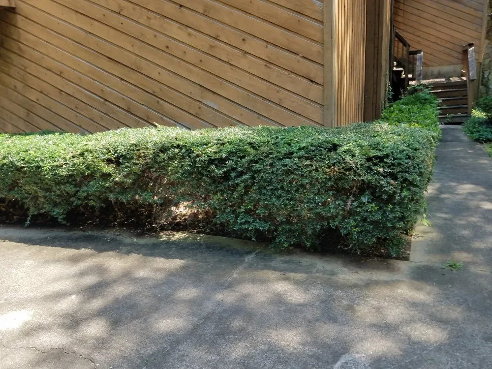 Reliable landscape design near you in King of Prussia, PA by All Seasons Property Solutions