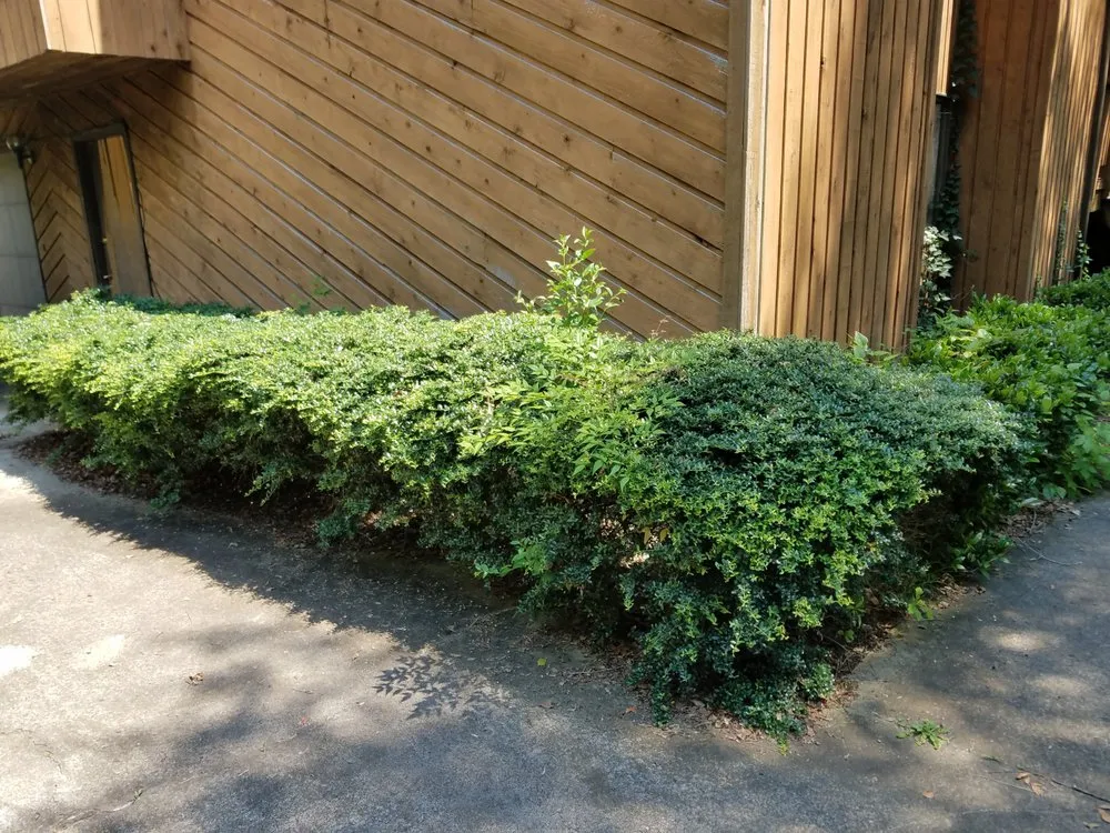 Custom residential landscaping in King of Prussia, PA by All Seasons Property Solutions