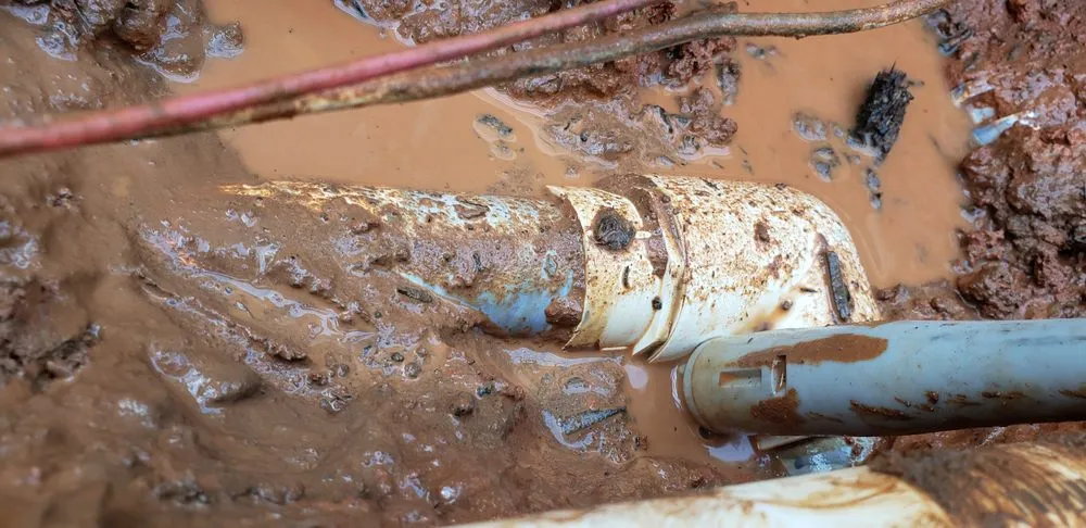 Affordable landscaping services in King of Prussia, PA - All Seasons Property Solutions