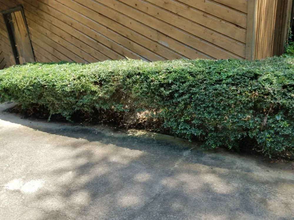 Local landscape design in King of Prussia, PA - All Seasons Property Solutions