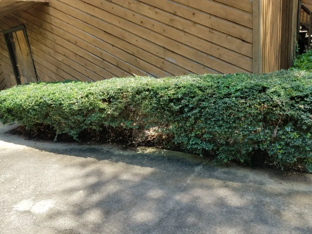 Expert garden landscaping for beautiful yards across King of Prussia, PA - All Seasons Property Solutions