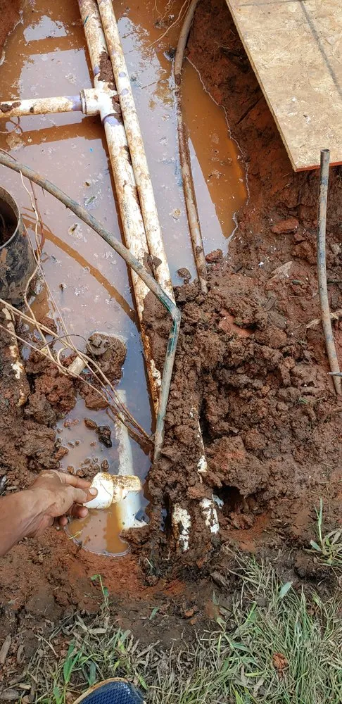 Professional landscaping services for beautiful yards in King of Prussia, PA by All Seasons Property Solutions