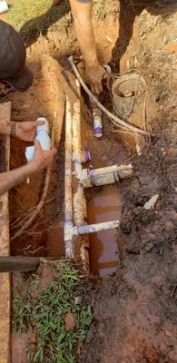 All Seasons Property Solutions Logo