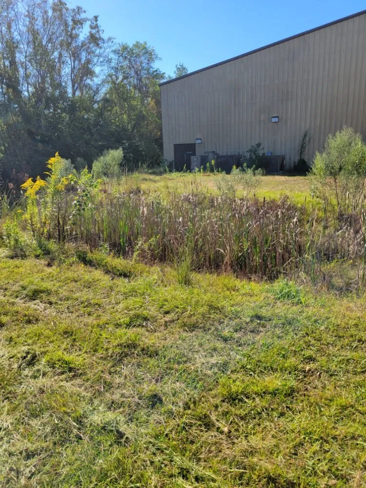 Reliable landscape installation for outdoor upgrades in Milton, FL by All Seasons Property Solutions