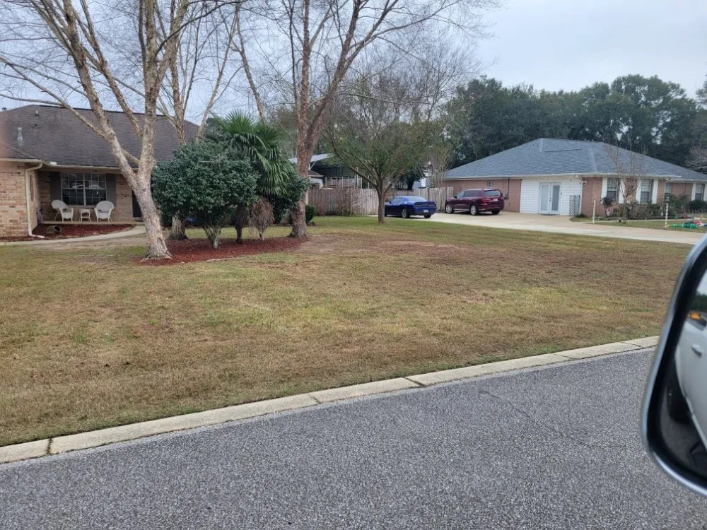 Expert yard maintenance experts serving Milton, FL - All Seasons Property Solutions