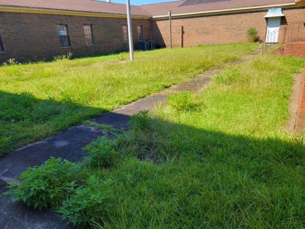 Affordable landscaping services experts serving Milton, FL - All Seasons Property Solutions