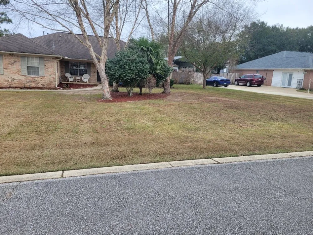 Expert yard maintenance in Milton, FL by All Seasons Property Solutions