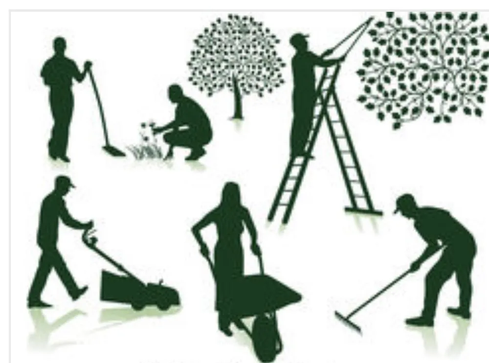 Expert landscape installation experts serving DeLand, FL - All Seasons REO Lawn Care