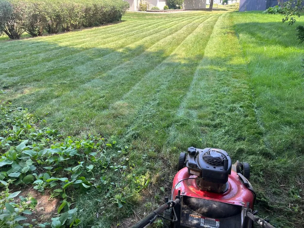 Custom residential landscaping in Rockford, IL - All Seasons