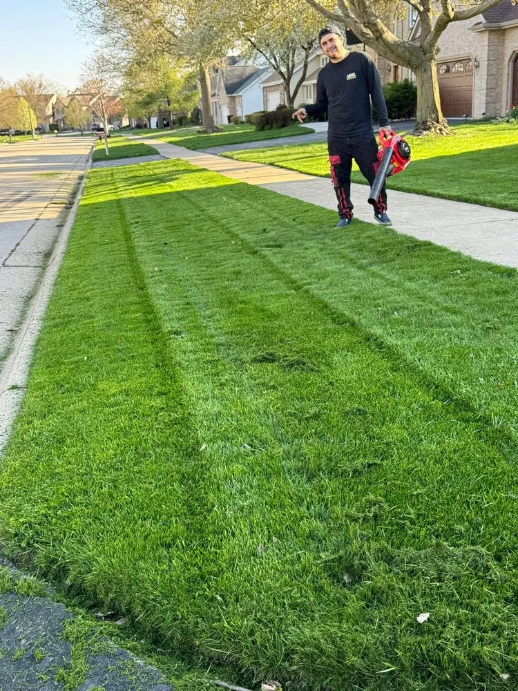 Professional residential landscaping near you across Rockford, IL - All Seasons