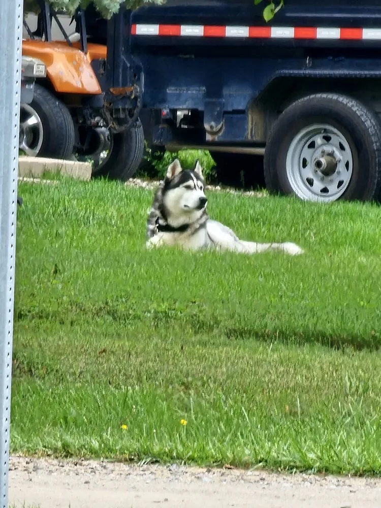 Affordable lawn mowing service for homes in Clinton Township, MI by All Seasons Services