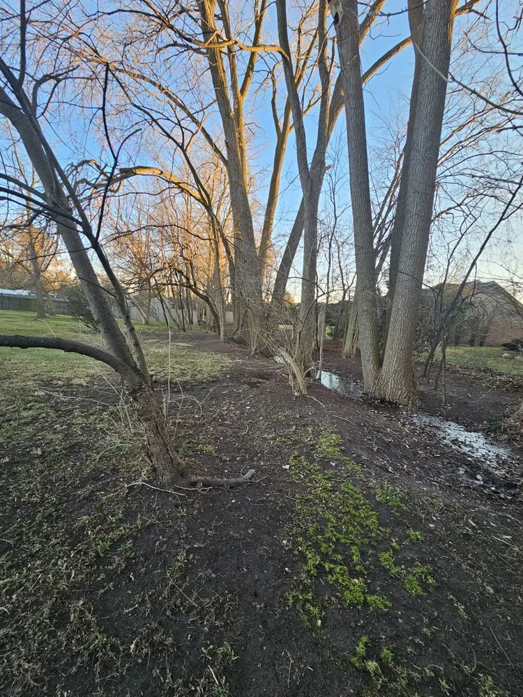 Professional yard cleanup service in Clinton Township, MI - All Seasons Services