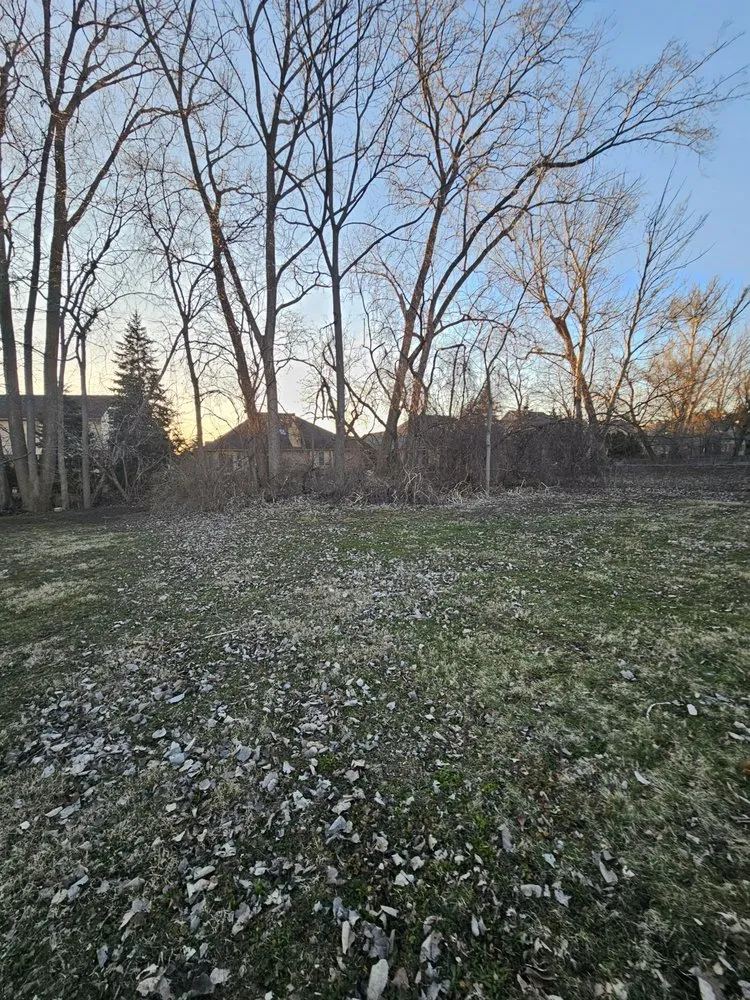 Professional lawn care service experts serving Clinton Township, MI - All Seasons Services