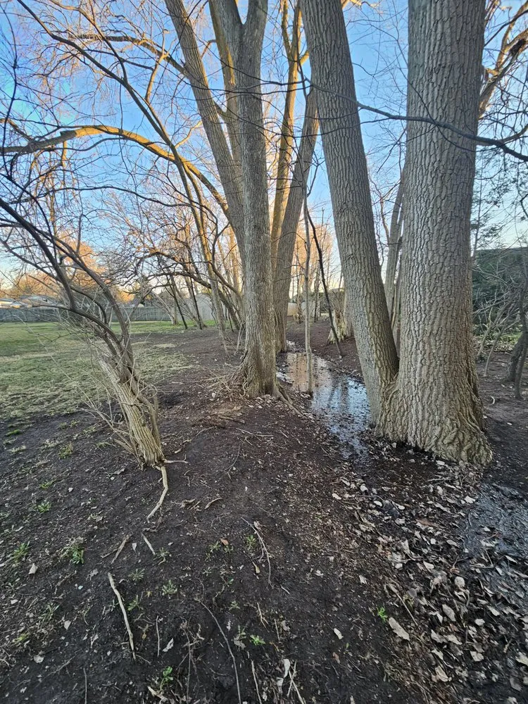 Affordable yard maintenance in Clinton Township, MI by All Seasons Services