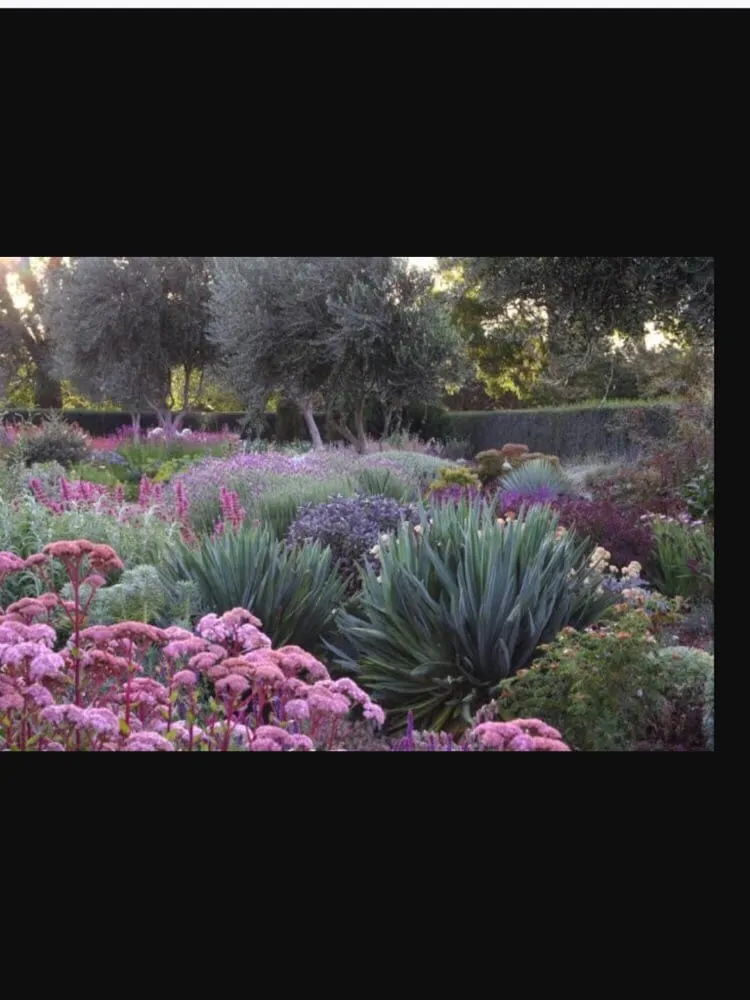 Reliable lawn mowing service for outdoor upgrades across Corona Del Mar, CA - All Seasons Sprinkler and Landscaping
