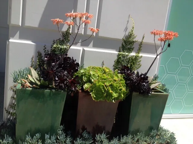 Expert outdoor landscaping in Corona Del Mar, CA - All Seasons Sprinkler and Landscaping