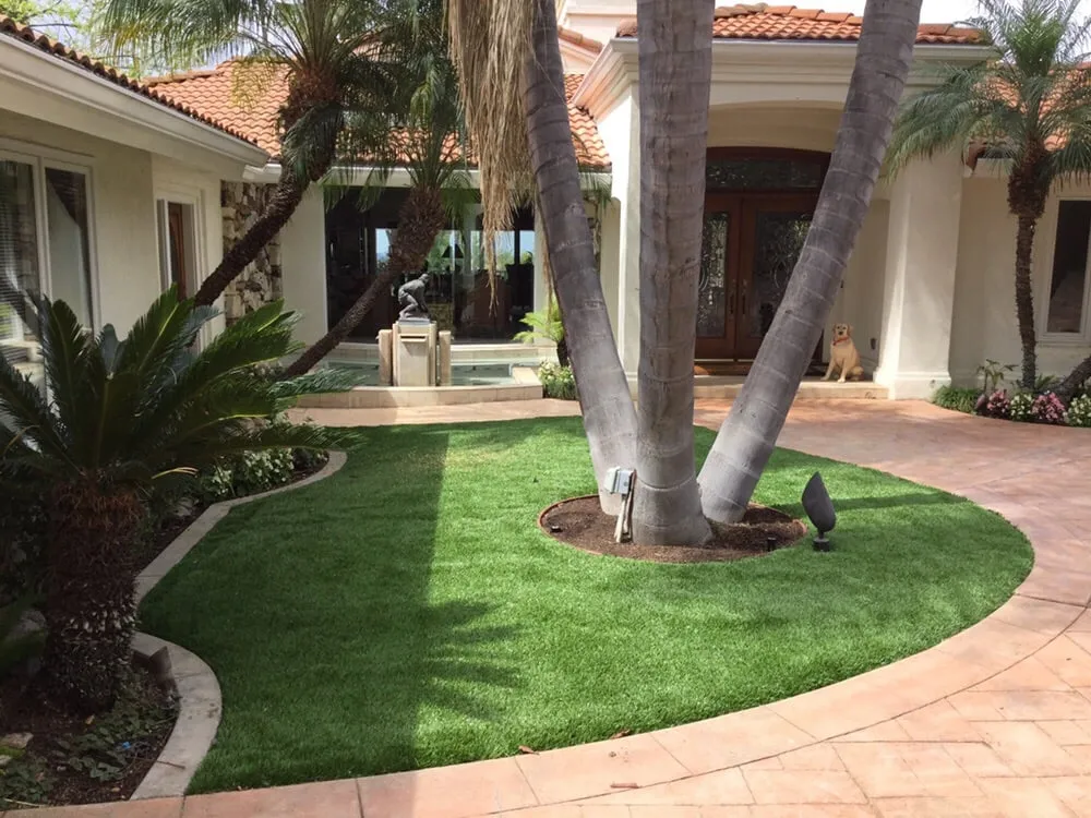 Top-rated yard maintenance in Corona Del Mar, CA - All Seasons Sprinkler and Landscaping