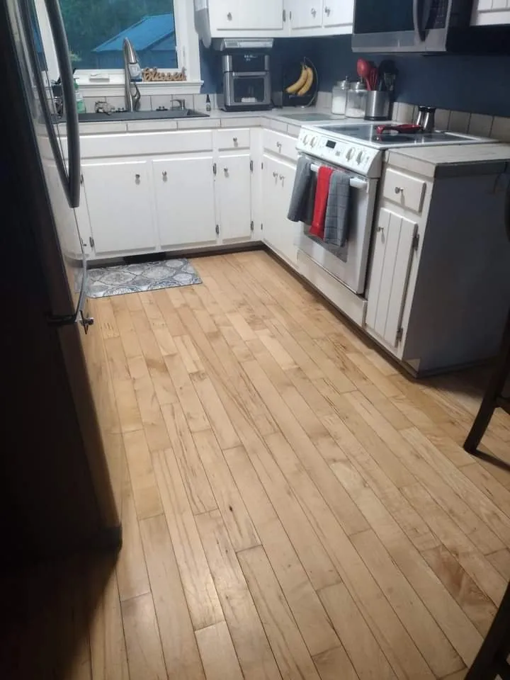 Professional yard maintenance for outdoor upgrades across Hampton, VA - All Seasons To The Rescue