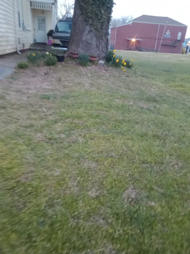 Trusted lawn mowing service experts serving Hampton, VA - All Seasons To The Rescue