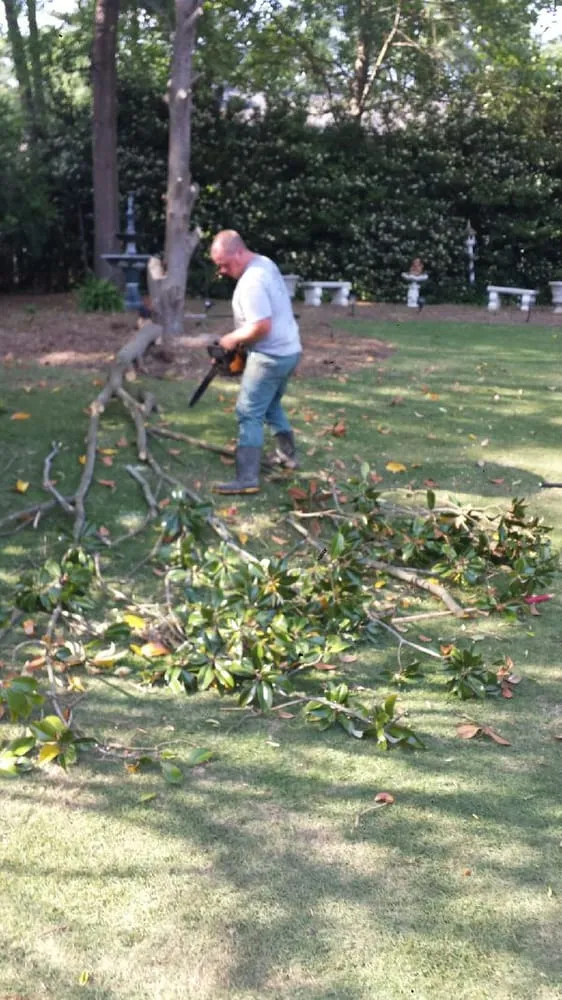 Professional residential landscaping in Greer, SC by All Seasons Tree & Landscape