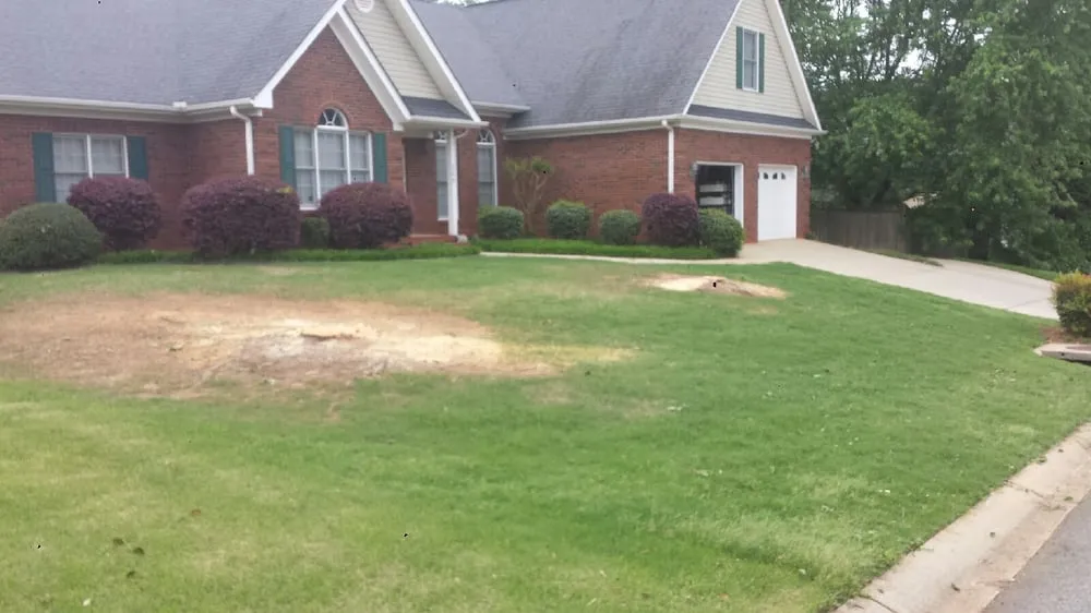 Local lawn mowing service in Greer, SC - All Seasons Tree & Landscape